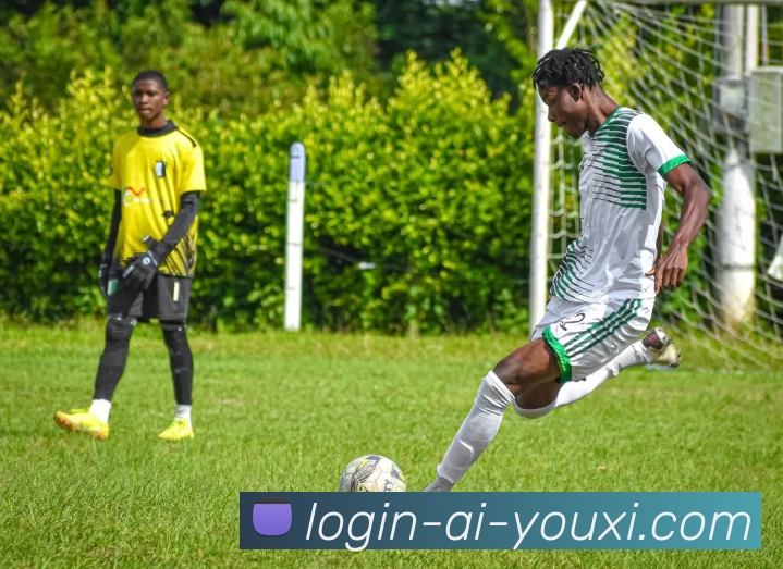 全面解析排球装备选购技巧及训练器材推荐助你提升技术水平